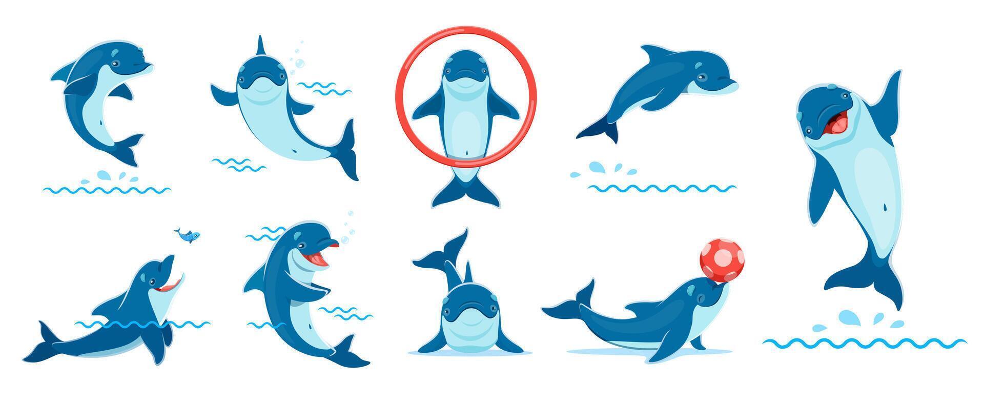 Dolphin cartoon characters of oceanarium circus vector