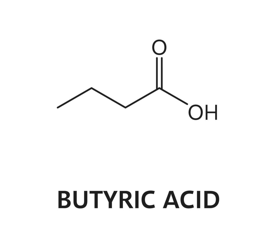 Butyric acid molecule formula chocolate ingredient vector
