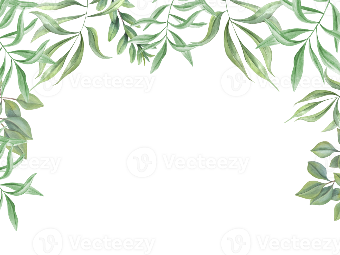 Green tropical leaves. Oleander branches. Horizontal frame with copy space for text. Template with , olive leaf. Watercolor illustration. Greenery design for cards, wedding party invitation png