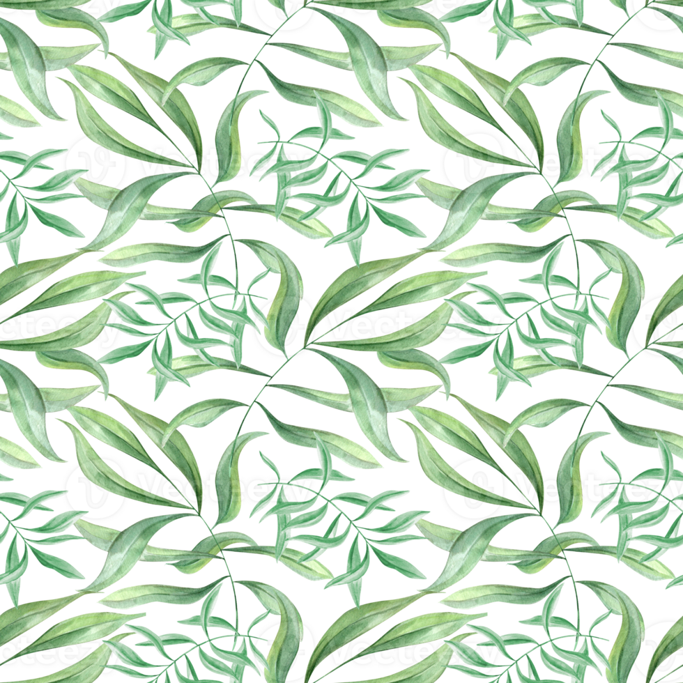 Tropical leaves. Green oleander branches. Seamless pattern of olive leaves. Ivy realistic foliage. Watercolor illustration. Floral greenery design for package, textile png