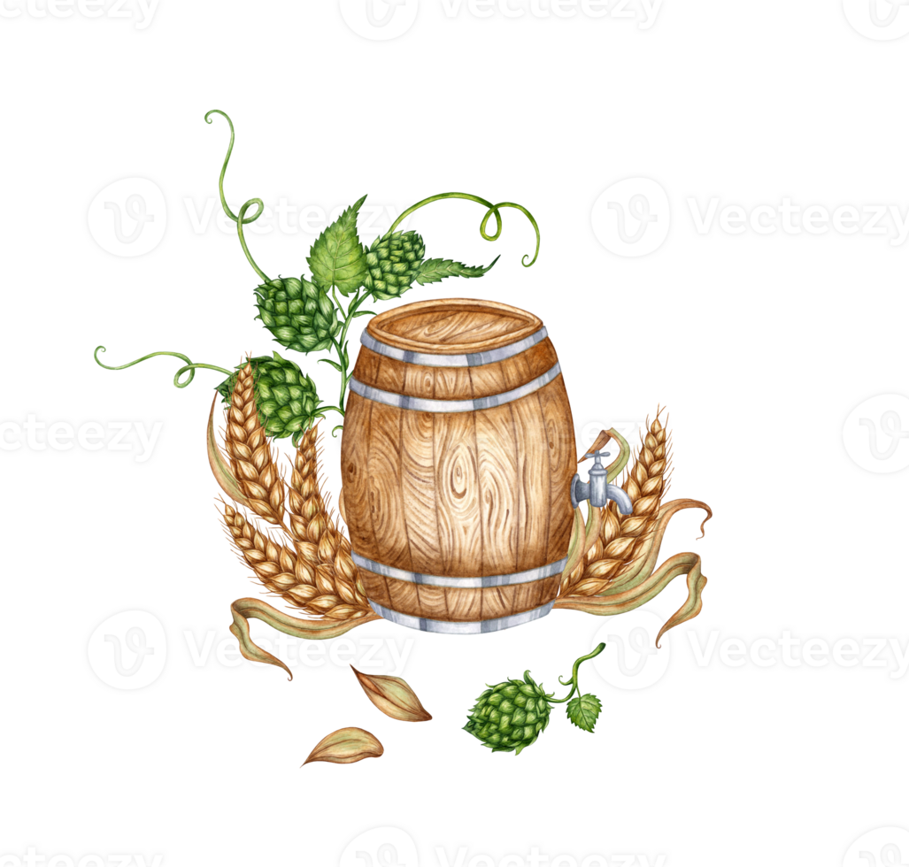 Watercolor illustration of a wooden barrel with hops, ears of wheat for beer and other alcoholic drinks. Isolated from the background. Suitable for interior design, menus, product packaging. png