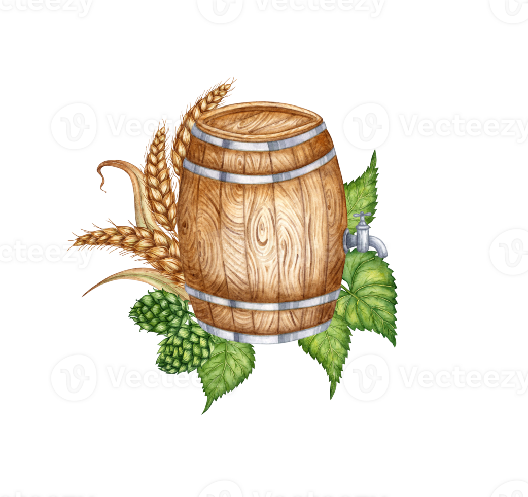 Watercolor illustration of a wooden barrel with hops, ears of wheat for beer and other alcoholic drinks. Isolated from the background. Suitable for interior design, menus, product packaging. png