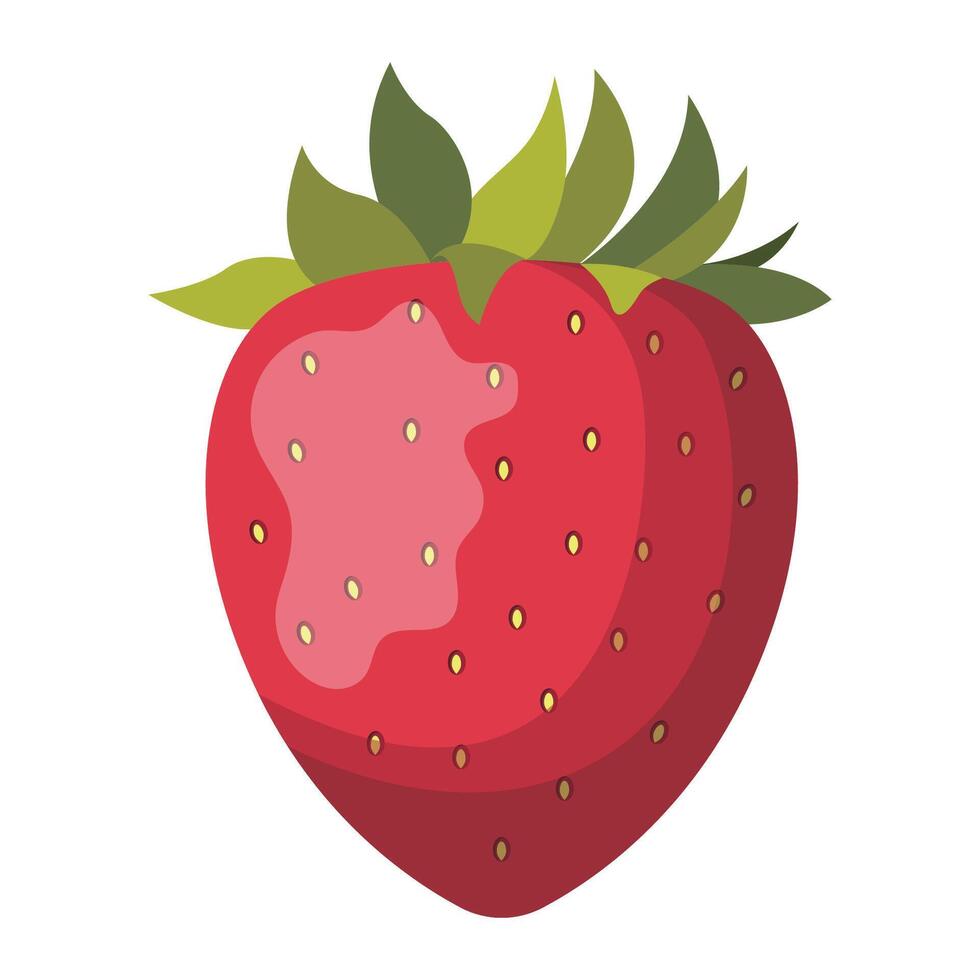 of strawberry fruit vector