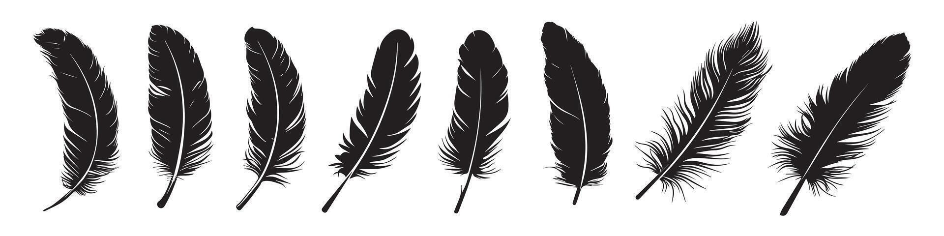 Abstract Bird Feather Icons Pack Design Template vector