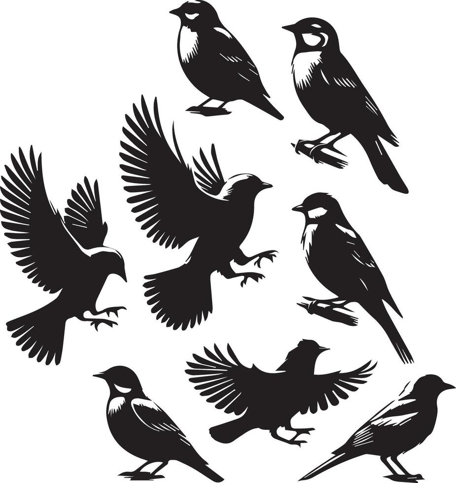 Set of sharp and realistic black sparrow bird silhouettes vector