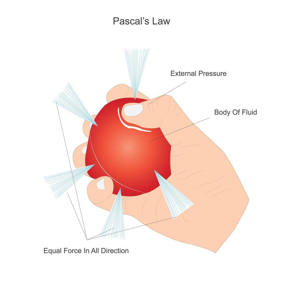 Pascal's Law. Fluid Pressure Equality. vector