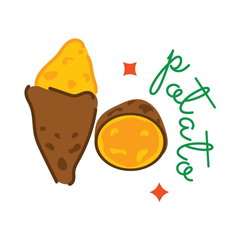 Trendy Sweet Potato vector