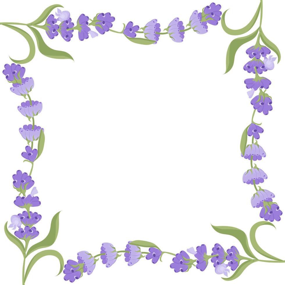 Decorative frame of lavender flowers for your design. illustration isolated on white background. vector
