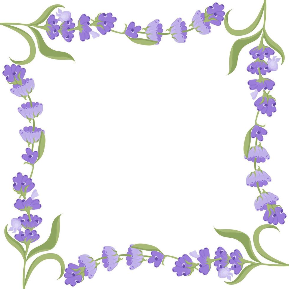 Decorative frame of lavender flowers for your design. illustration isolated on white background. vector