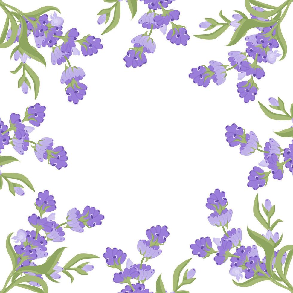 Decorative frame of lavender flowers for your design. illustration isolated on white background. vector