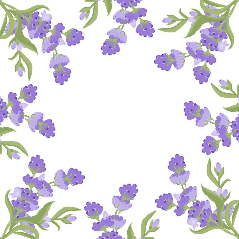 decorativo marco de lavanda flores para tu diseño. ilustración aislado en blanco antecedentes. vector