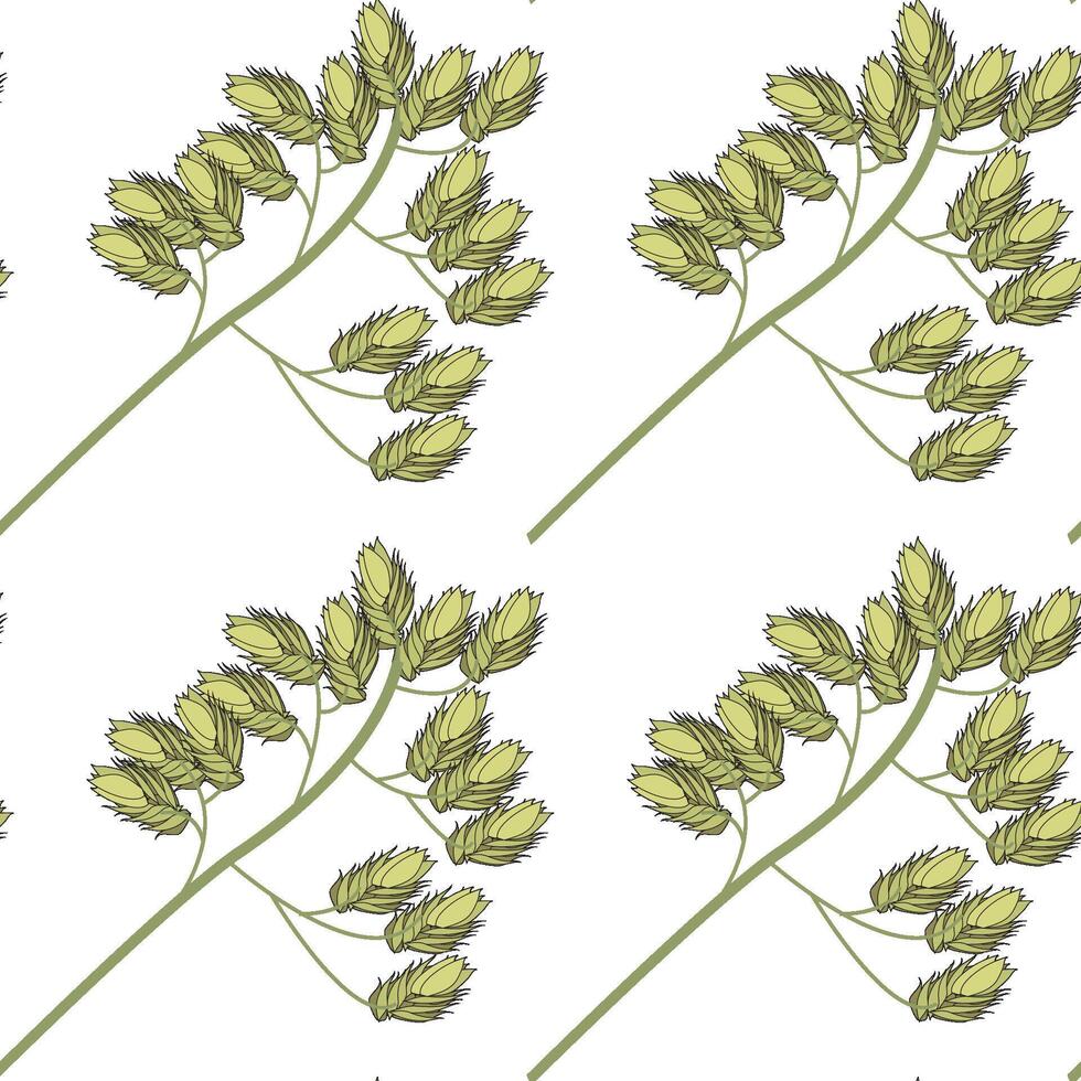 Seamless pattern from the top of wild field grass. illustration. vector