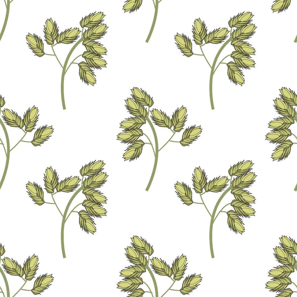 Set of wild field grass tops. Detailed illustration isolated on white background. vector