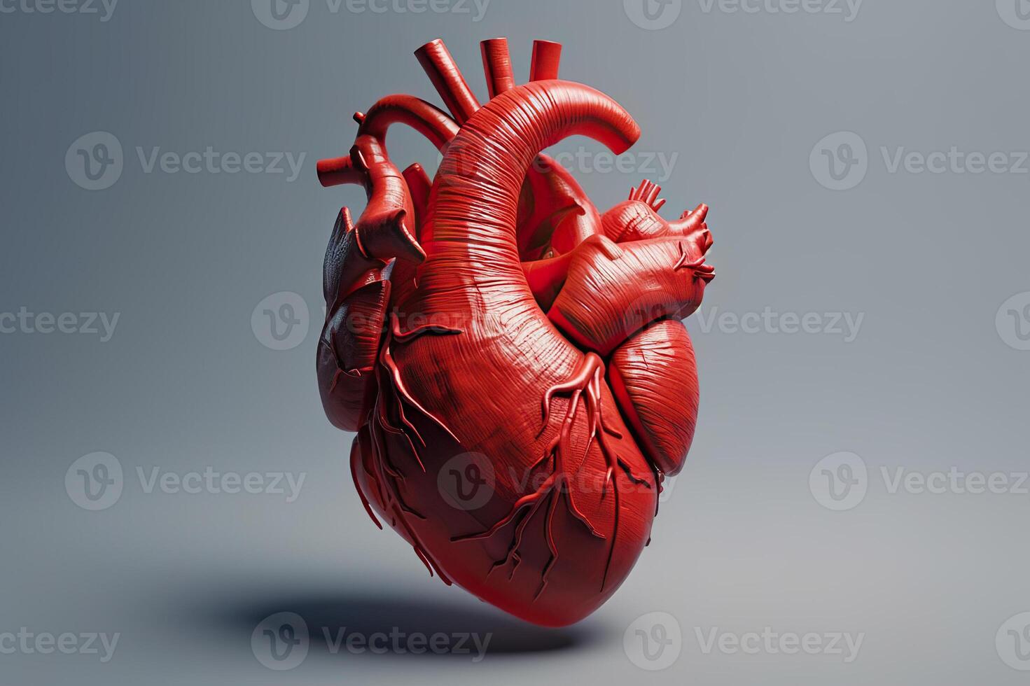 AI generated Anatomical Red Heart Illustration A Depiction of the Intricate Human Organ. created with Generative AI photo