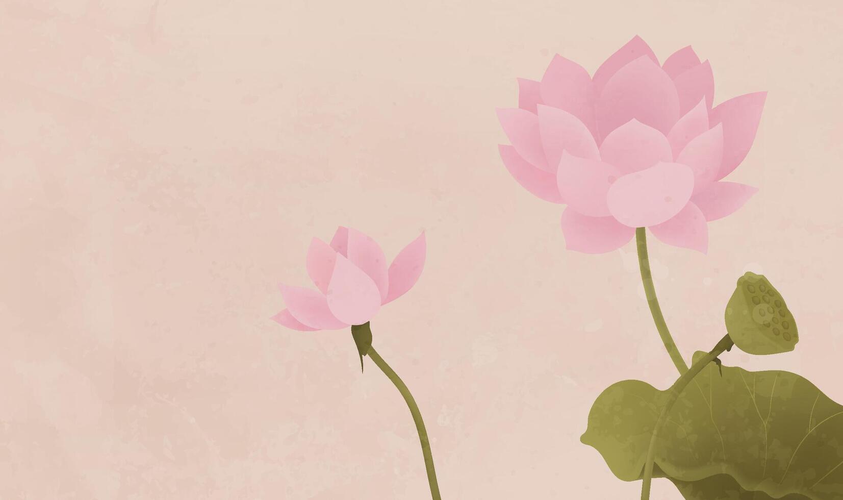 Chinese style pink lotus horizontal illustration vector