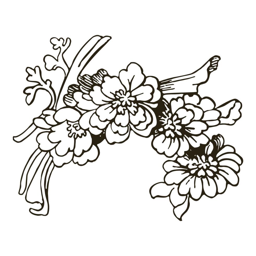 Festive Sakura isolated on white background. Oriental traditional, outline illustration. Japanese, Chinese, Korean trendy design, Celebration Event Greeting card Party Invitation Poster Flyer vector