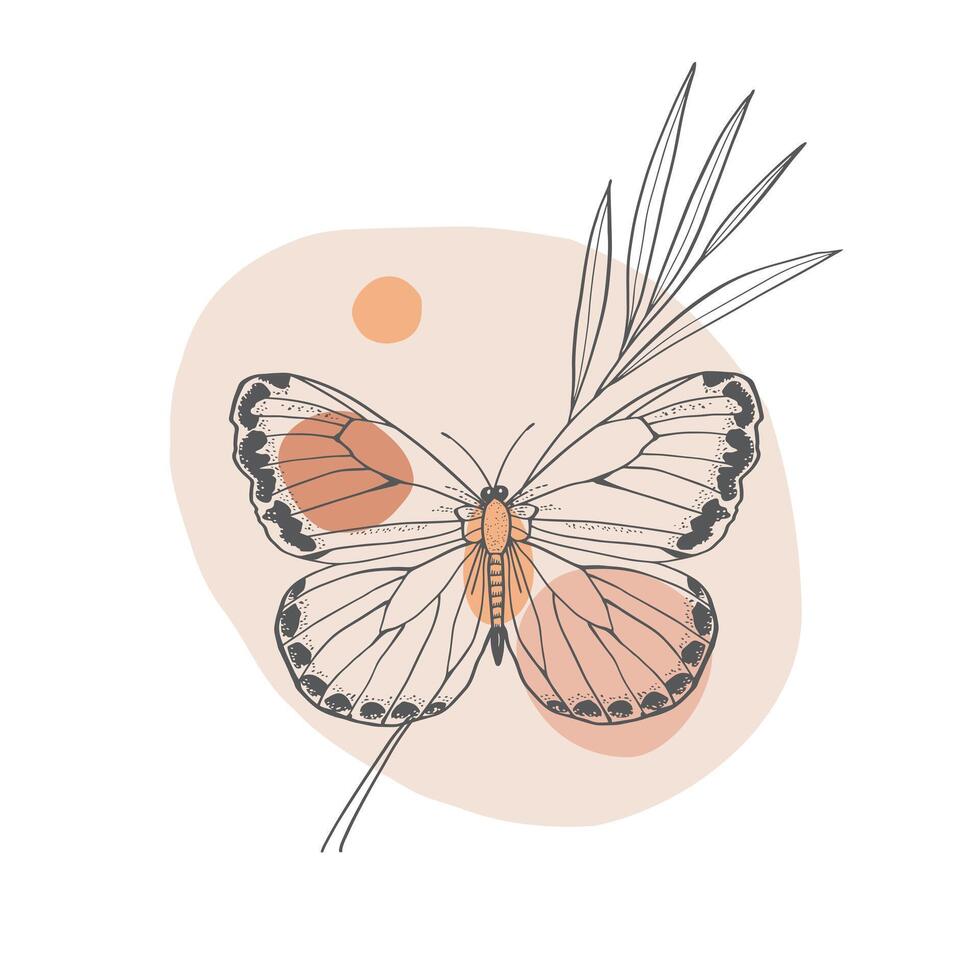 insect butterfly on pastel background with plant. Hand drawn boho style. vector