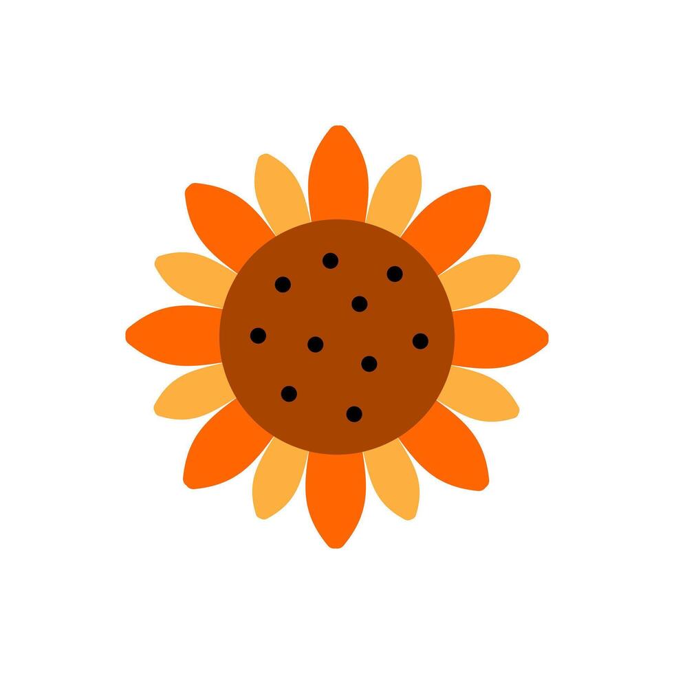 Sunflower icon, summer flower . vector