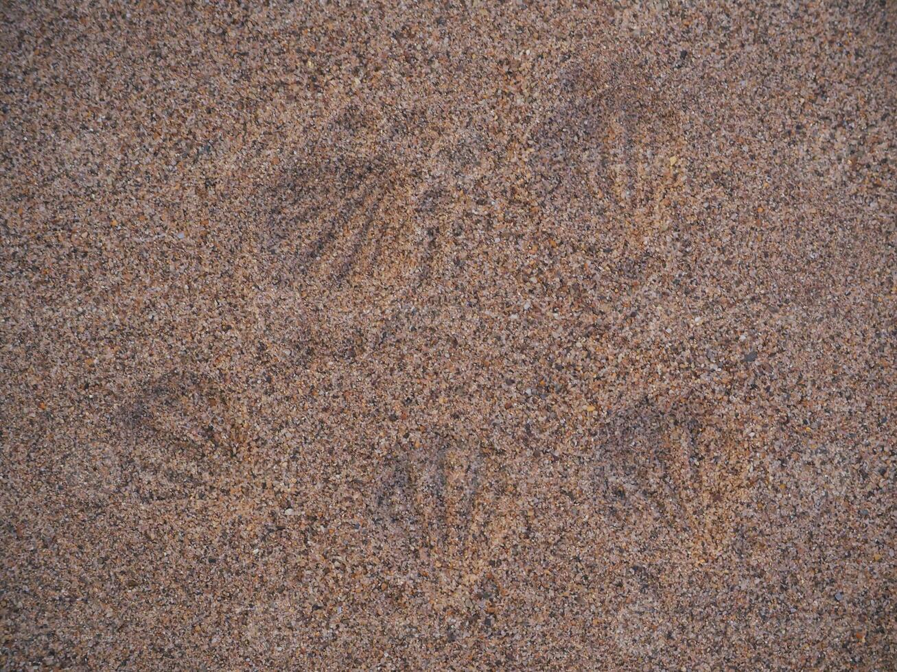 Sand texture with seashell marks for background photo
