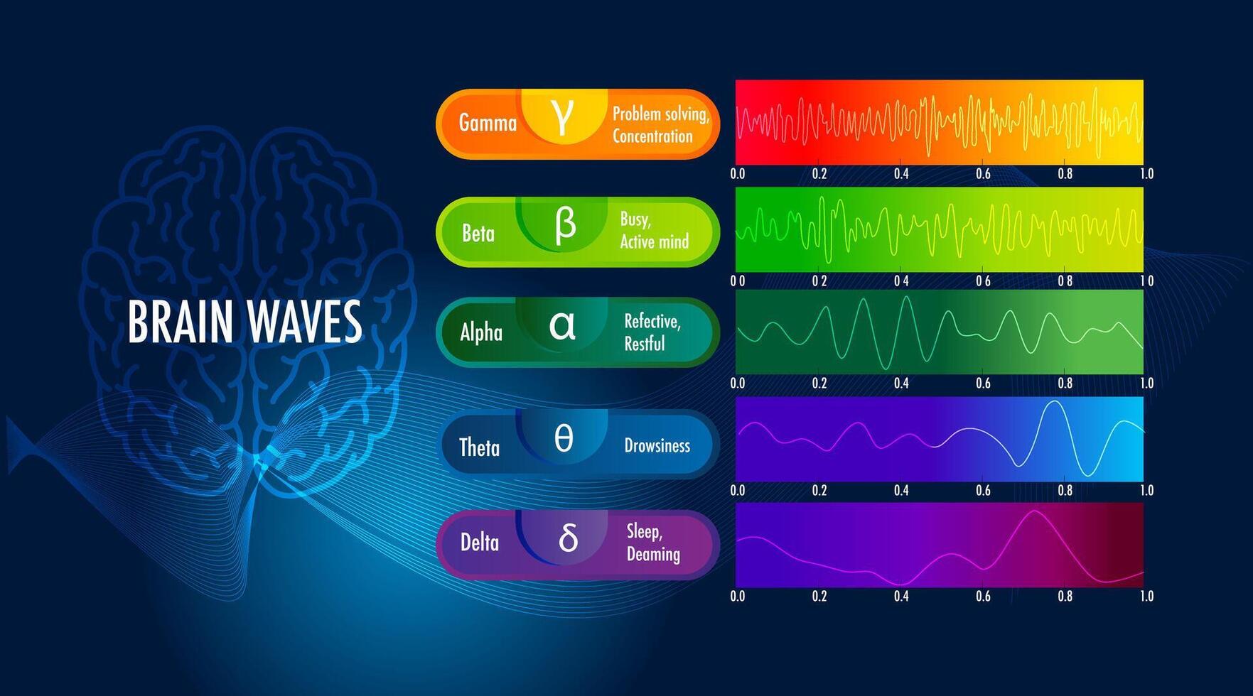 measures brain waves of different frequencies within the brain infographic vector