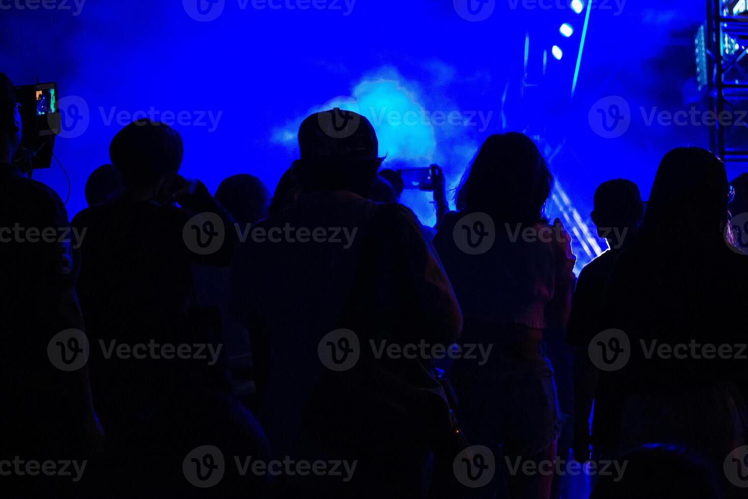 Group of people having fun at music concert photo