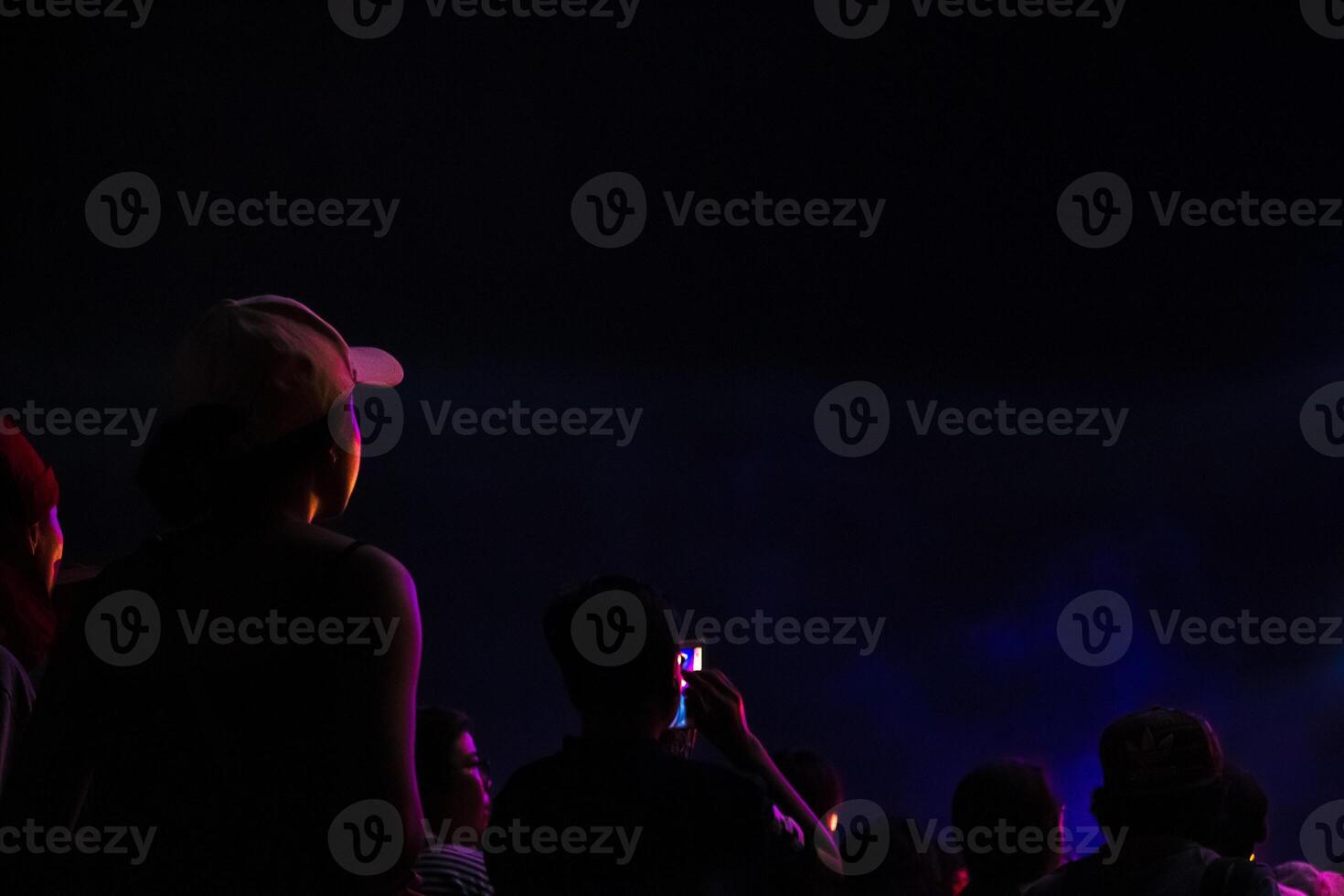 Group of people having fun at music concert photo