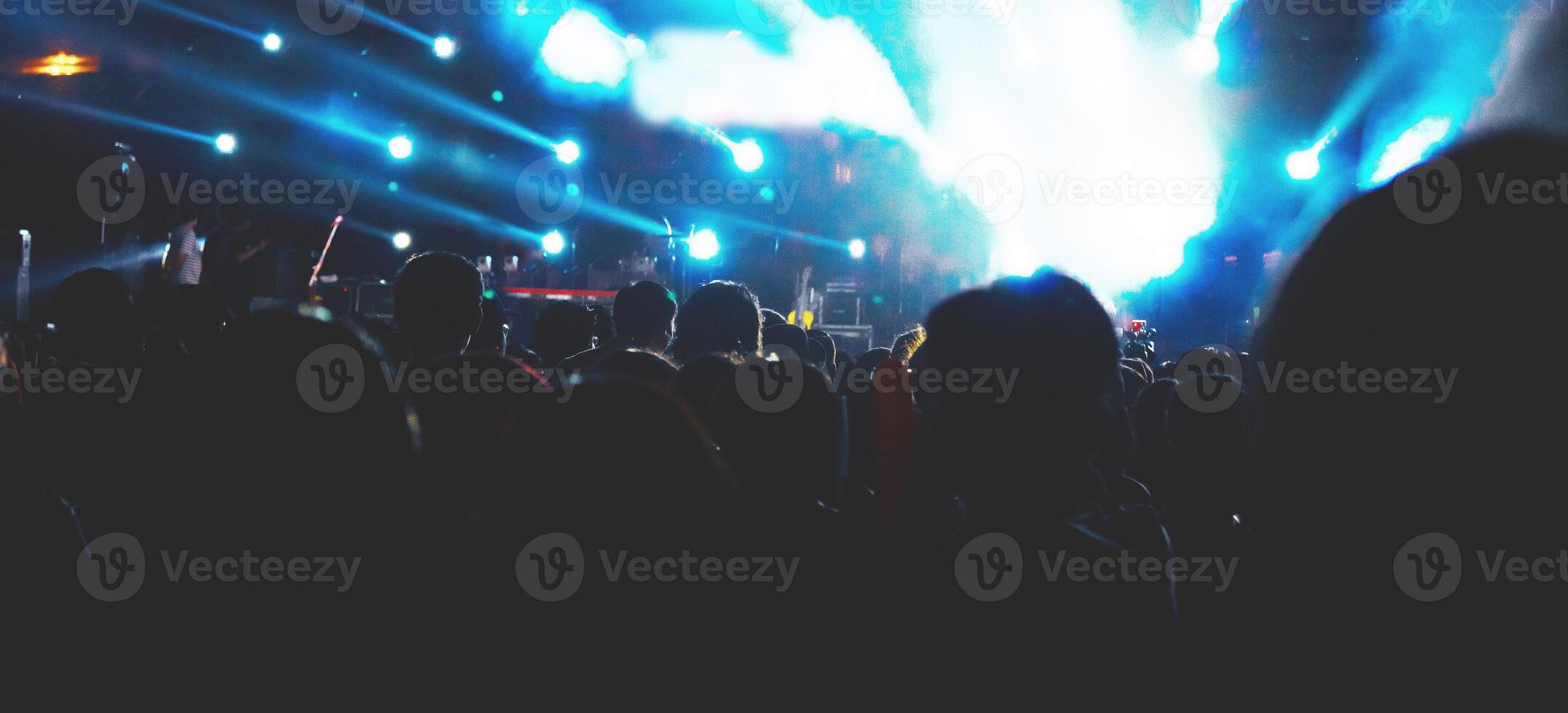 Group of people having fun at music concert photo