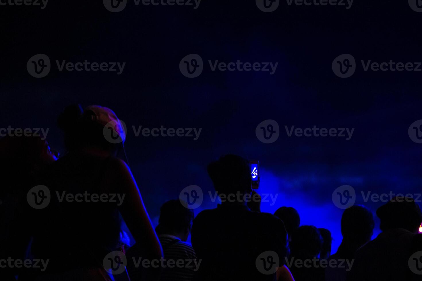 Group of people having fun at music concert photo