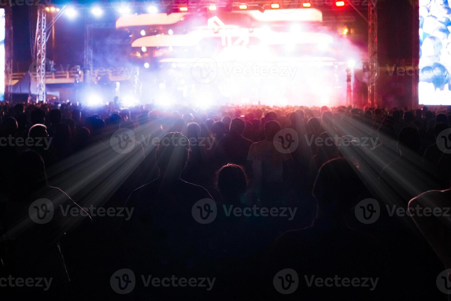 grupo de personas teniendo divertido a música concierto foto