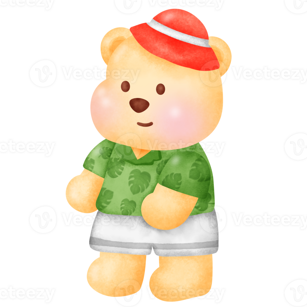 Teddy Bear in Green Shirt and Red Hat , summer bear . png