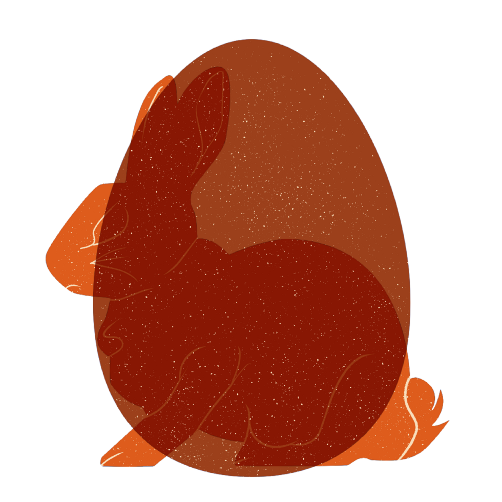 Easter bunny in the egg. png