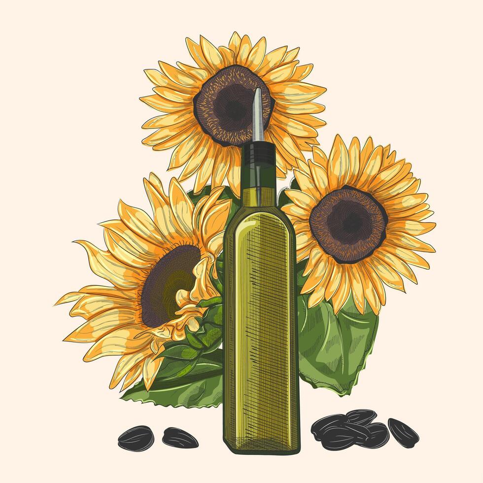 Sunflower oil, in a bottle with a dispenser. Sunflower flowers and sunflower seeds. illustration in hand drawing style vector