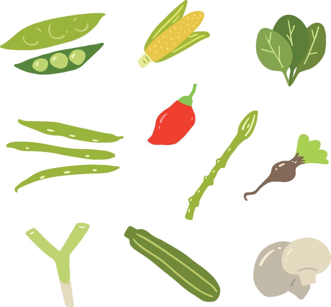 10 Vegetable Illustration vector