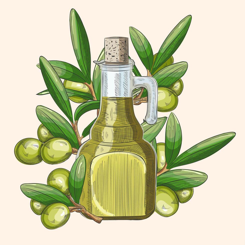 glass bottle jug of olive oil and olives with leaves. Illustration in retro sketch style vector