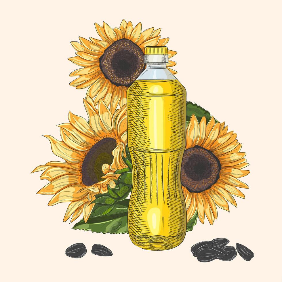 Sunflower illustration with sunflower oil in bottle, flowers and seeds with green and leaves. EPS in hand drawing style vector