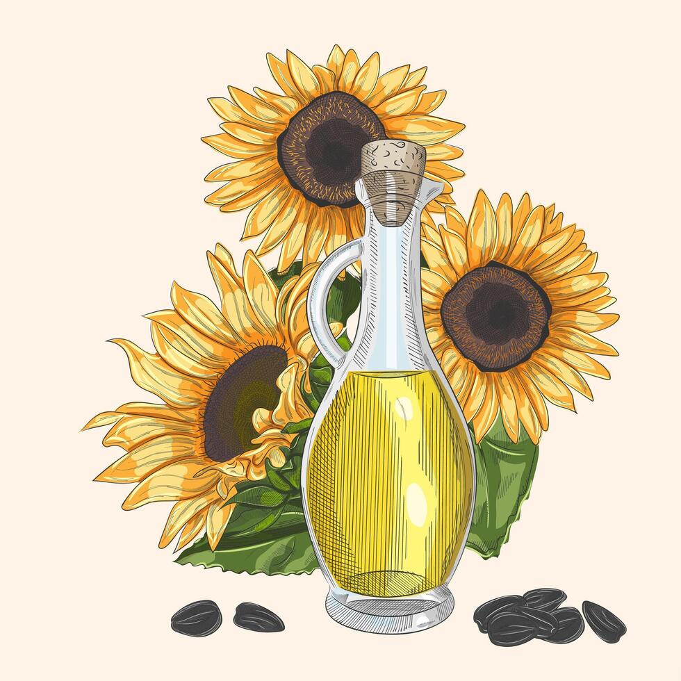 Sunflower oil bottle and flower. illustration. vector