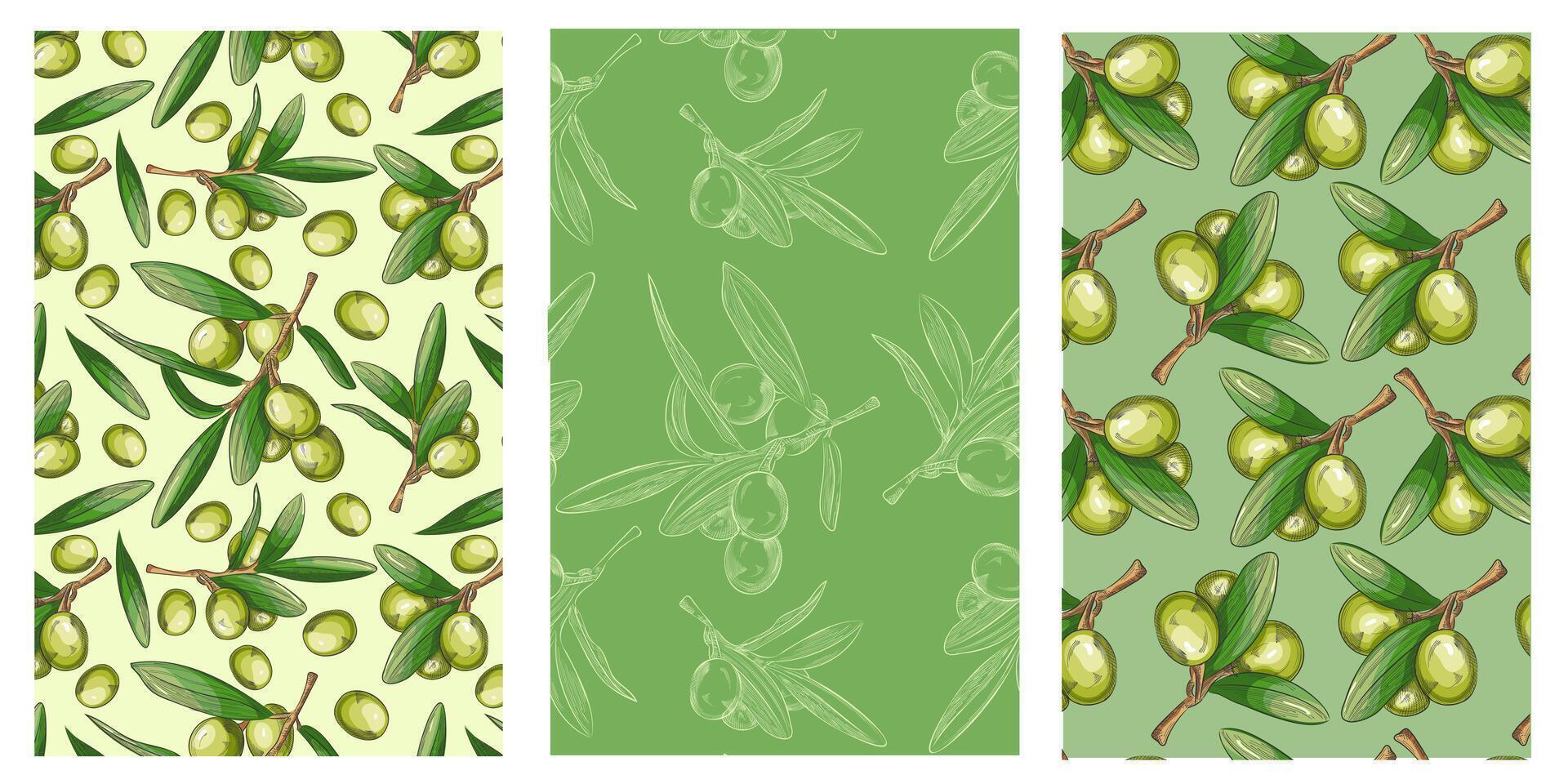 packaging design elements and templates for olive oil labels and bottles - seamless patterns for background and stickers for natural, organic cosmetics, soap and beauty products vector