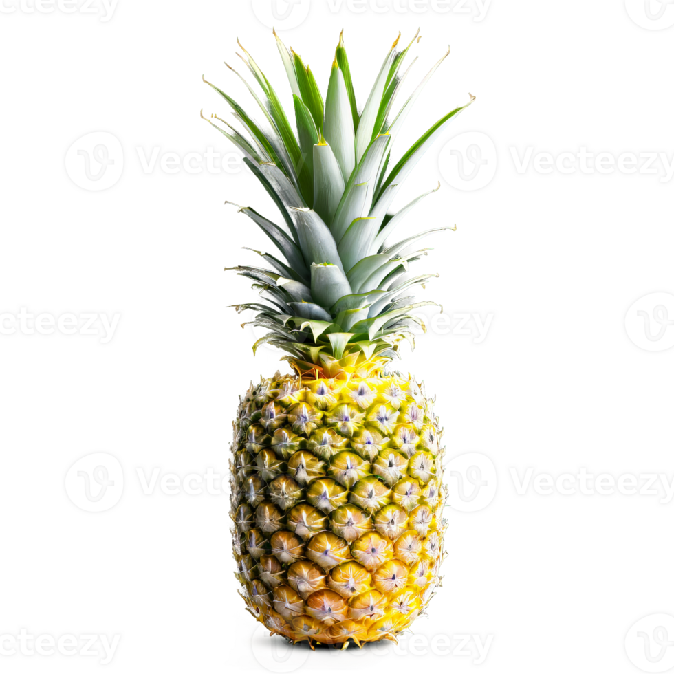 Pineapple with golden yellow skin green crown of spiky leaves pattern of diamond shapes isolated png