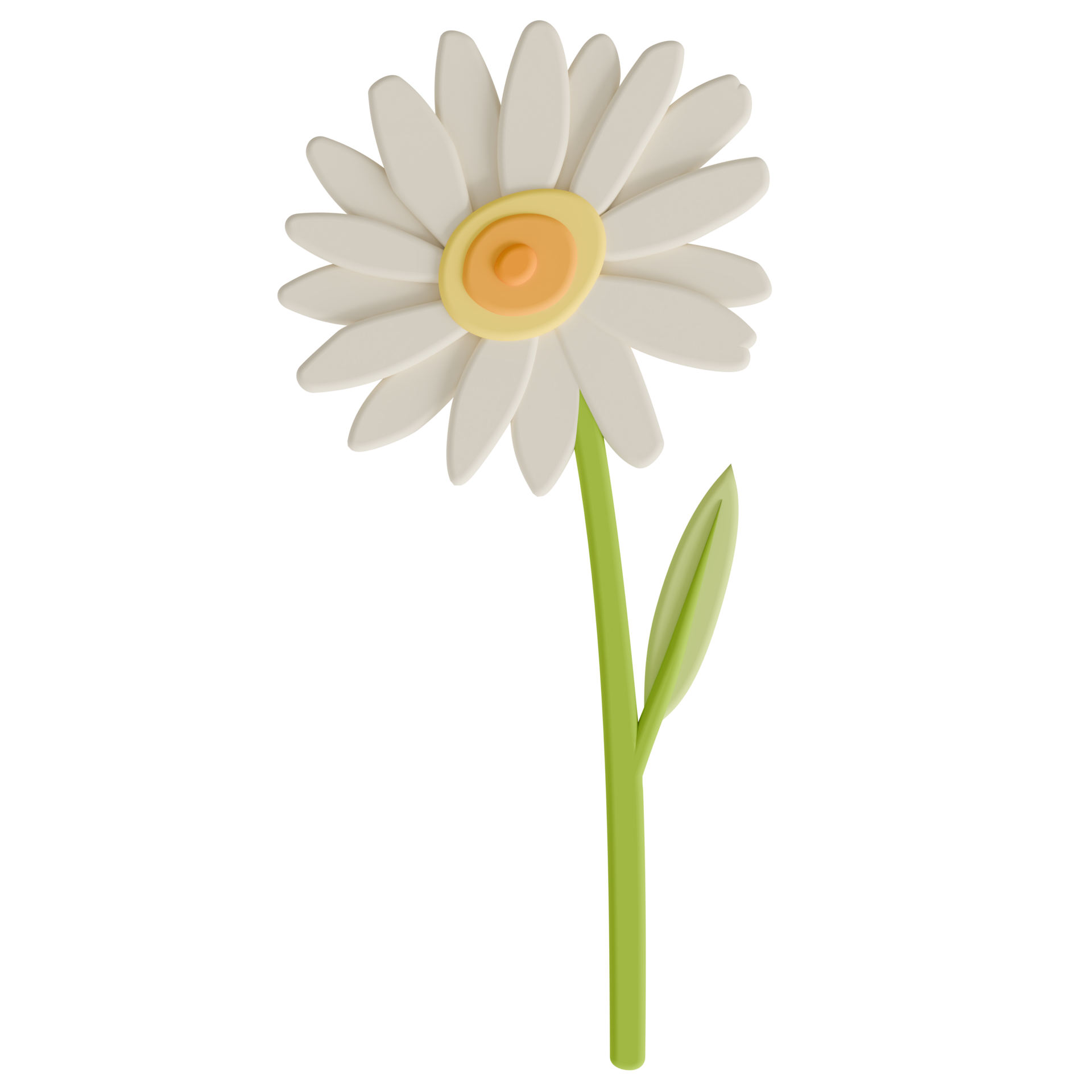 A daisy transparent background in a cute decoration foam art style