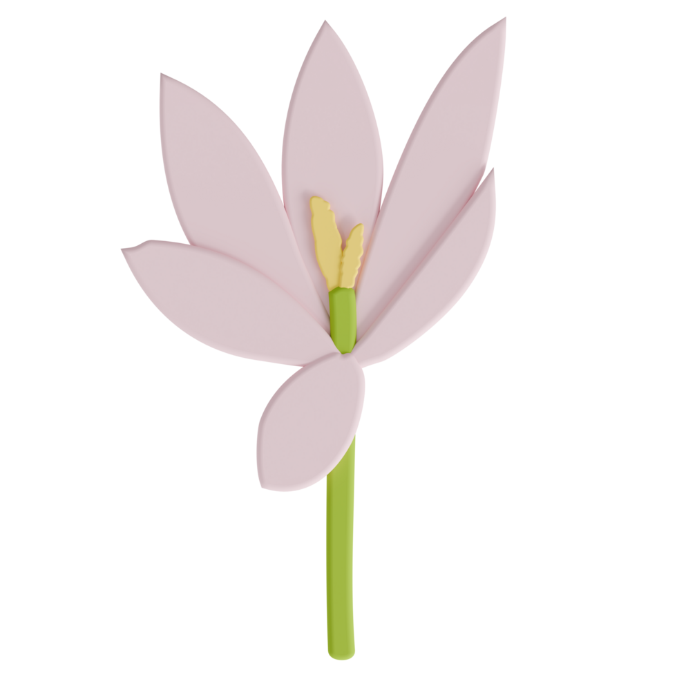 A crocus transparent background in a cute decoration foam art style spring floral concept,3D illustration png