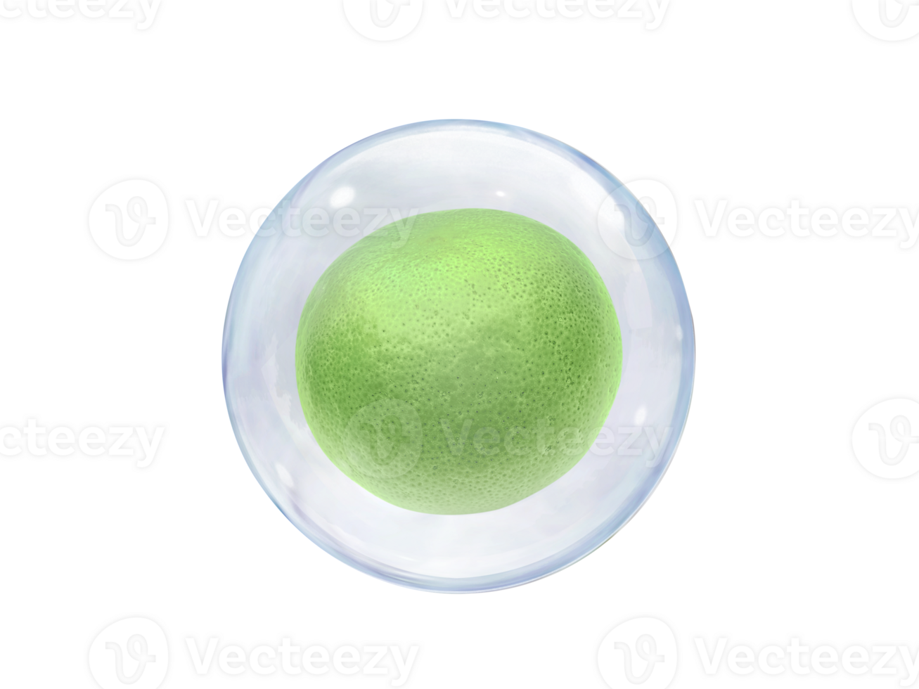 Fresh lemons, in bubble, transparent background png