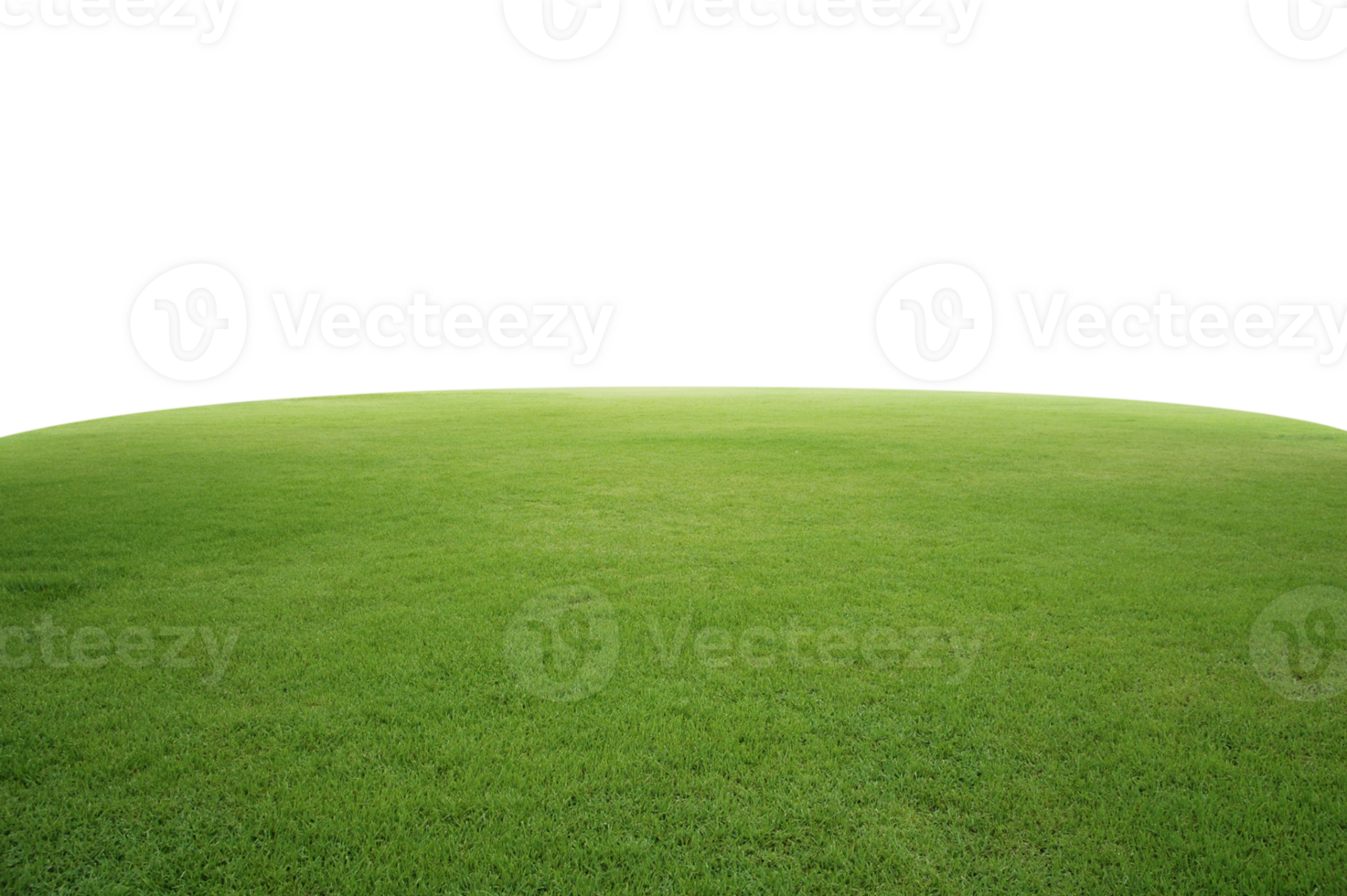 green grass field, transparent background png