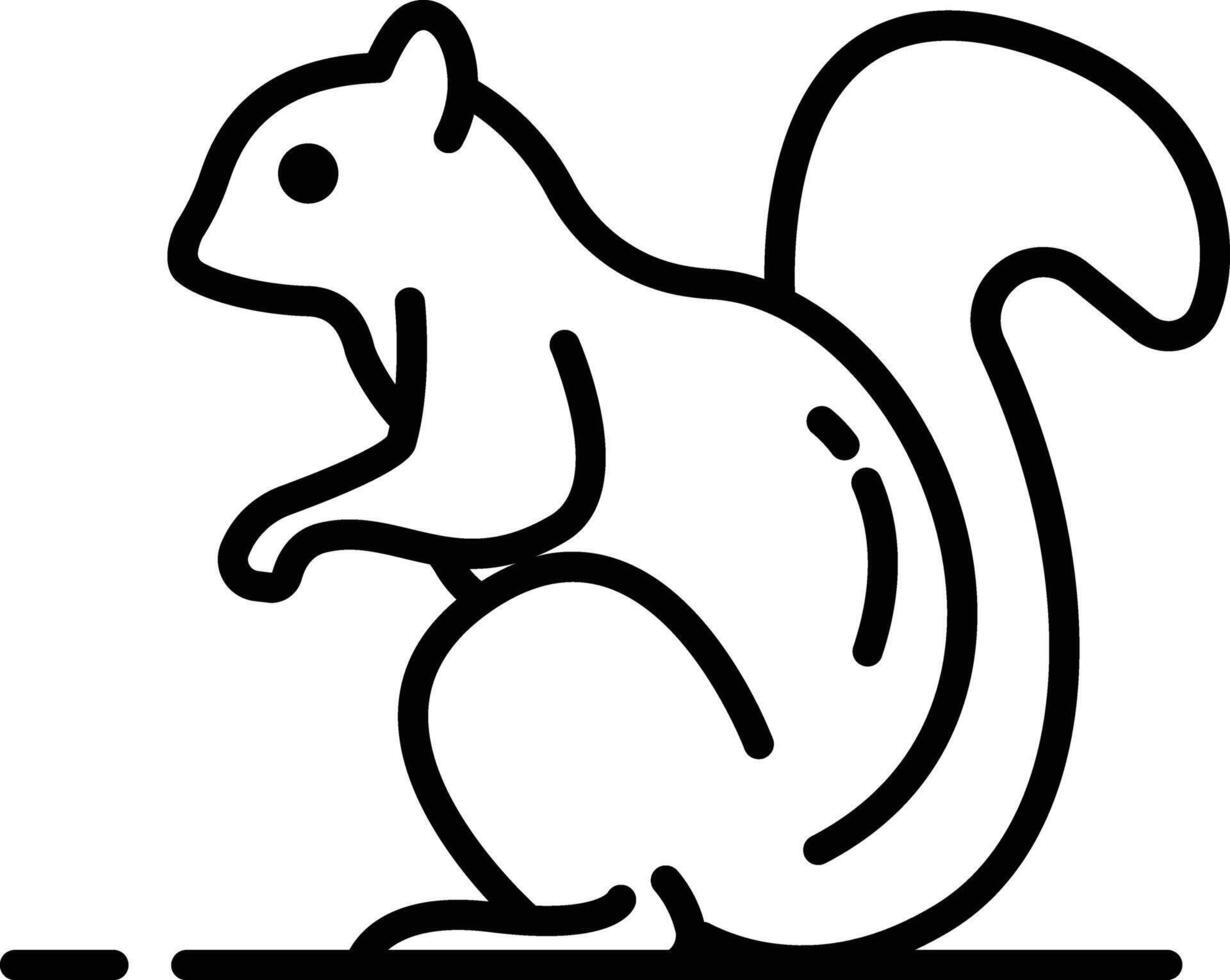 Squirrel outline illustration vector