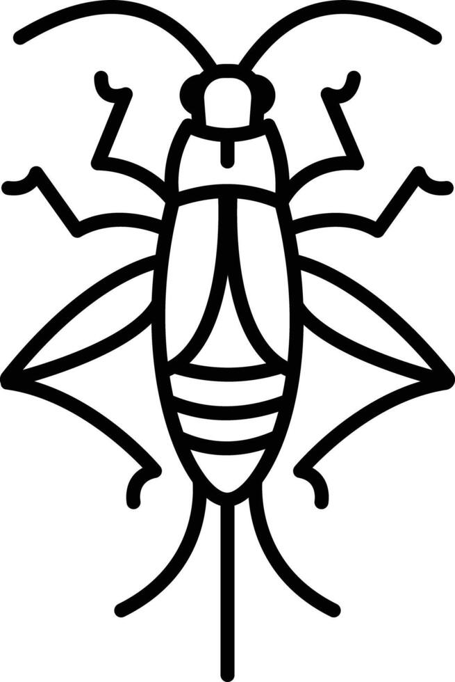 Cricket bug outline illustration vector