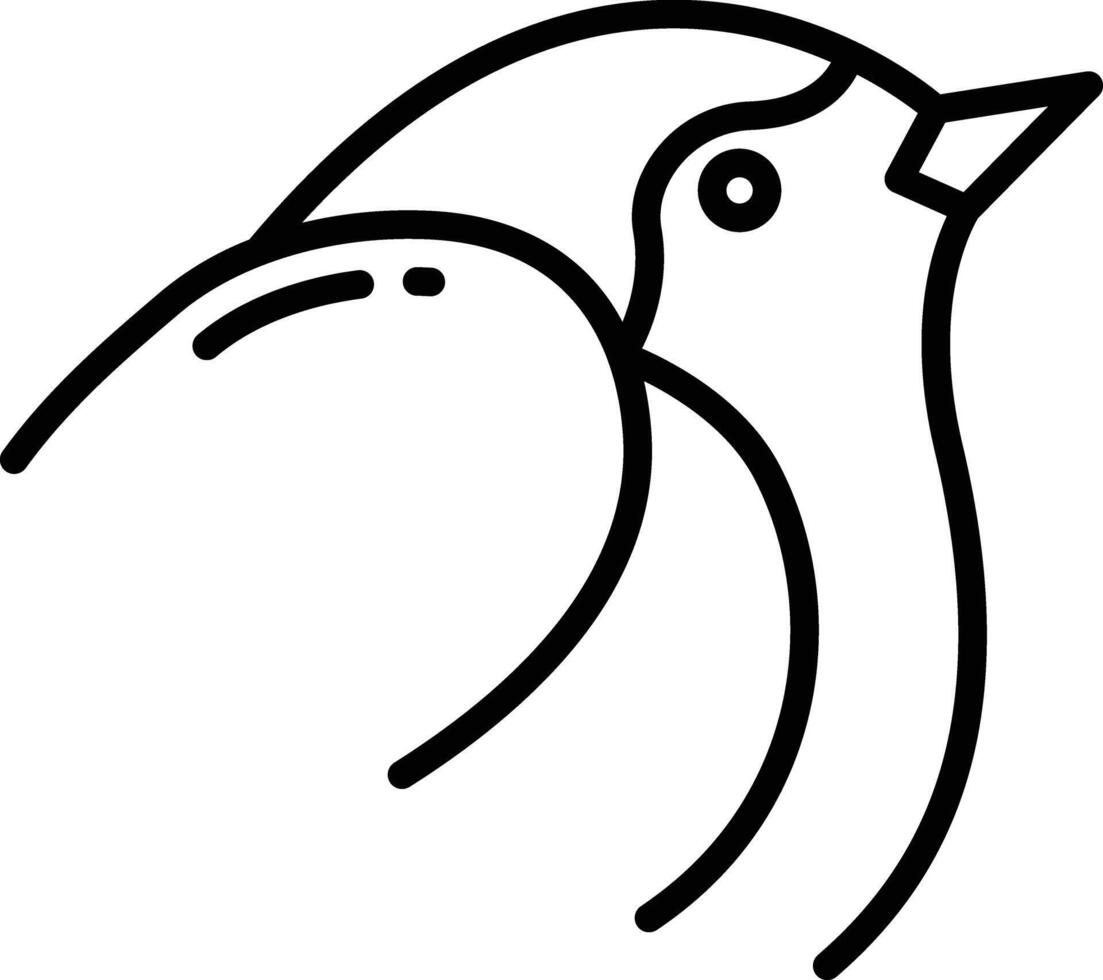 Robin bird outline illustration vector
