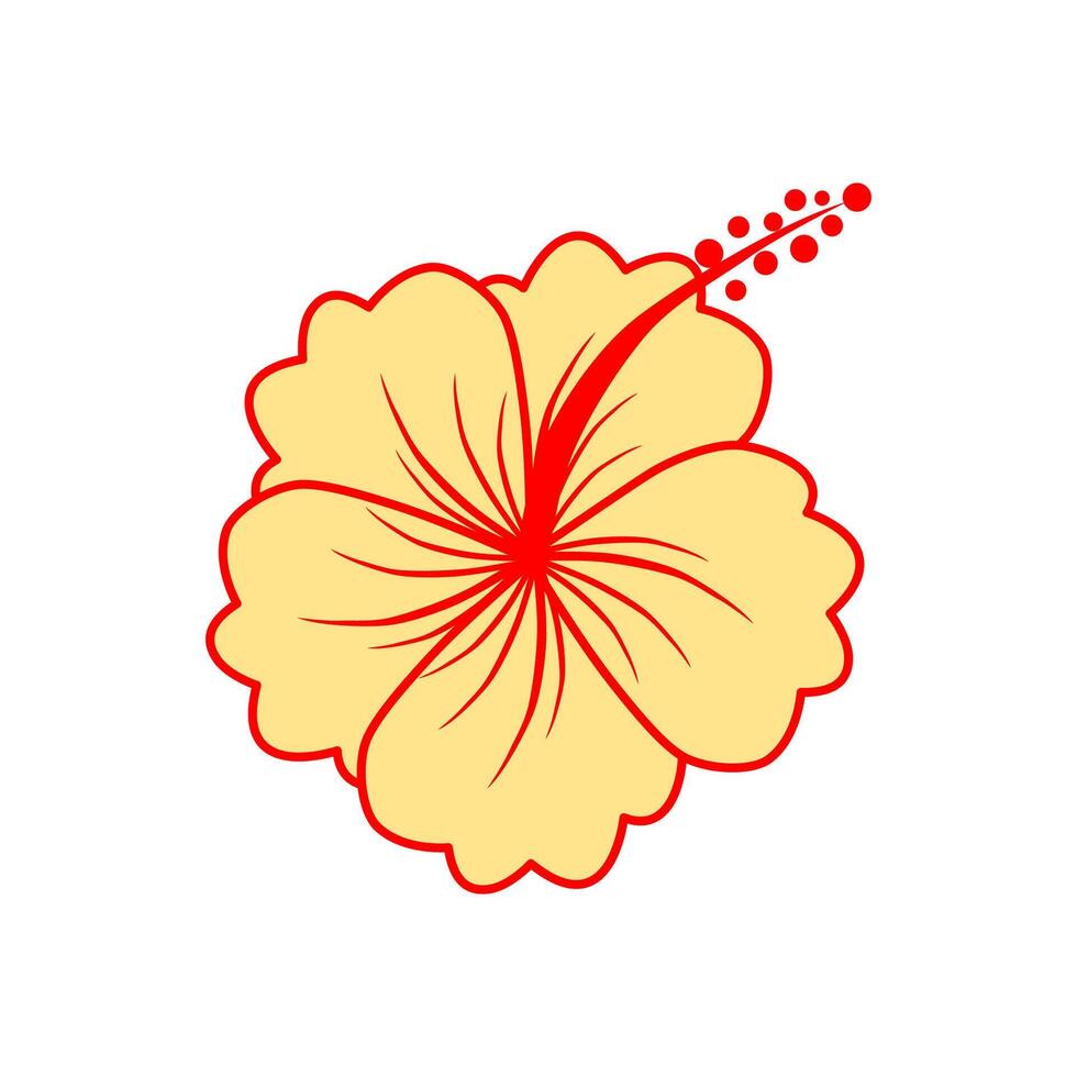 Hand drawn hibiscus flower bright colors on white background. vector