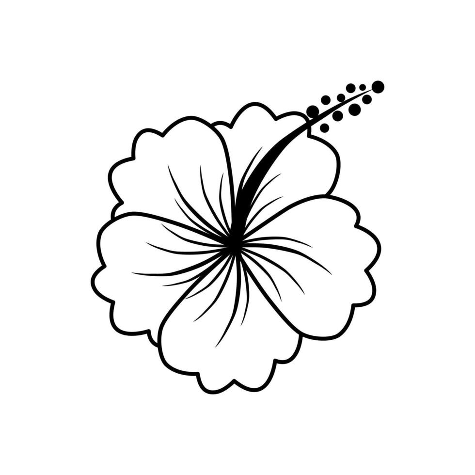 Hibiscus flower line art on white background. vector