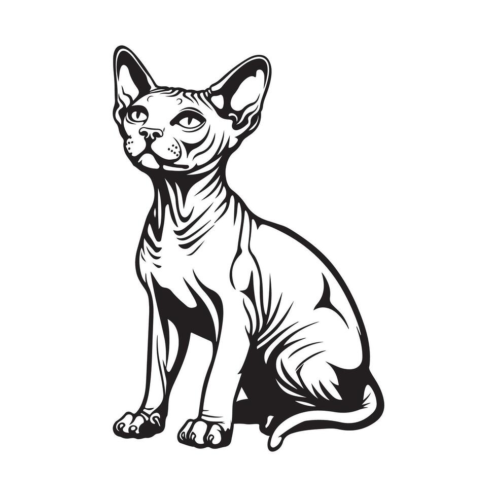 Sphinx Cat Illustration,Design, Art, Icons, and Graphics on white background vector