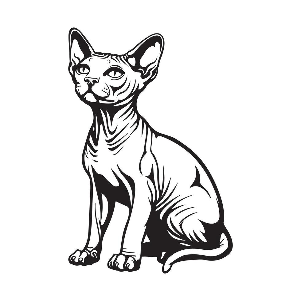 esfinge gato ilustración, diseño, arte, iconos, y gráficos en blanco antecedentes vector