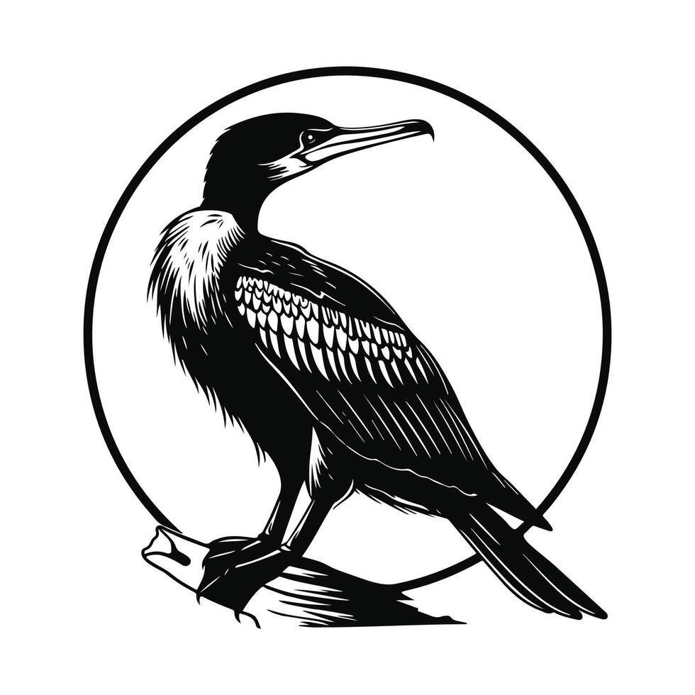 cormorán diseño, arte, imágenes, cormorán en un blanco antecedentes vector